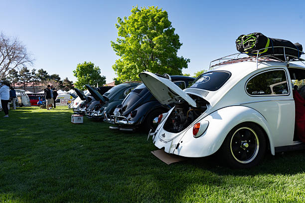 Volkswagen Beetle Exclusivo